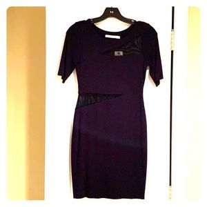 Bailey 44 dress